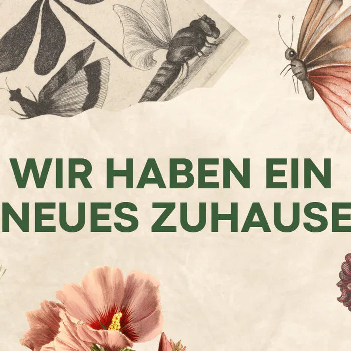 Vintage Kontor neues Zuhause, Text mit Retro-Insekten und Blumen Illustrationen, nachhaltiger Stil