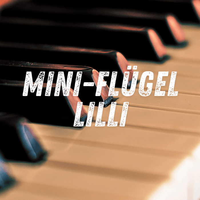 Nahaufnahme Vintage-Klavier, Text 'Mini-Flügel Lilli', nachhaltige Dekoration, Vintage Kontor