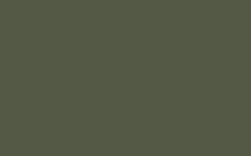 LITTLE GREENE Farbe - Oilcloth - 362-Farbe-Vintage Kontor-Absolute Matt Emulsion-1 l-Vintage Kontor