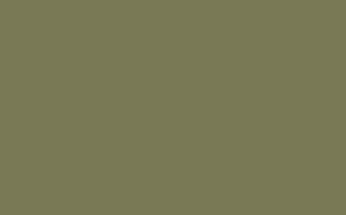 LITTLE GREENE Farbe - Hillside - 371-Farbe-Vintage Kontor-Absolute Matt Emulsion-1 l-Vintage Kontor