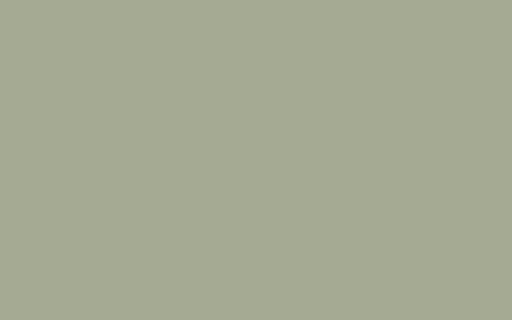 LITTLE GREENE Farbe - Boringdon Green 295-Farbe-Vintage Kontor-Absolute Matt Emulsion-1 l-Vintage Kontor