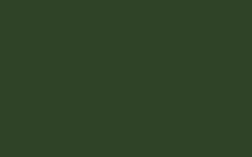 LITTLE GREENE Farbe - Dark Brunswick Green 88-Farbe-Vintage Kontor-Absolute Matt Emulsion-1 l-Vintage Kontor