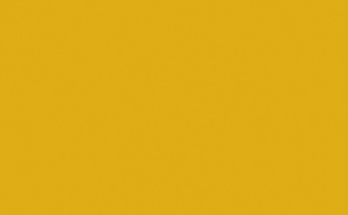 LITTLE GREENE Farbe - Mister David 47-Farbe-Vintage Kontor-Absolute Matt Emulsion-1 l-Vintage Kontor