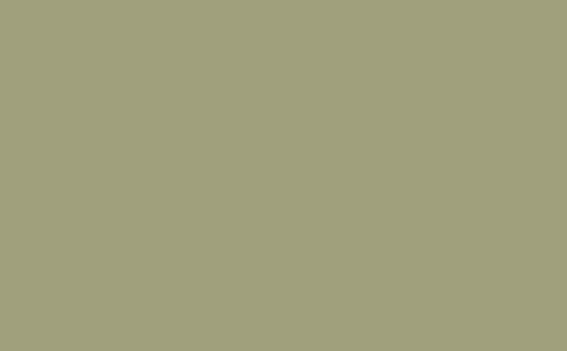 LITTLE GREENE Farbe - Normandy Grey 79 -