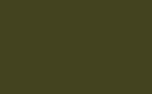 LITTLE GREENE Farbe - Olive Colour 72-Farbe-Vintage Kontor-Absolute Matt Emulsion-1 l-Vintage Kontor