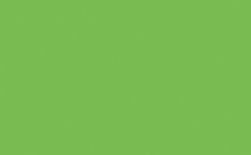 LITTLE GREENE Farbe - Phthalo Green 199 -