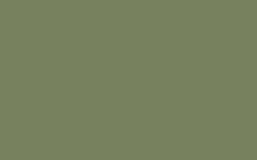 LITTLE GREENE Farbe - Sage Green 80-Farbe-Vintage Kontor-Absolute Matt Emulsion-1 l-Vintage Kontor