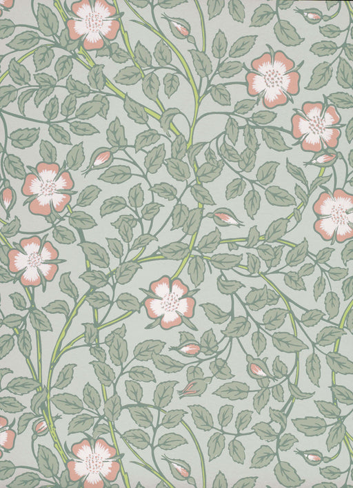LITTLE GREENE Tapete - Briar Rose - Salix -