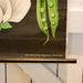 Schulwandtafel Erbse-Poster-Vintage Kontor-Vintage Kontor